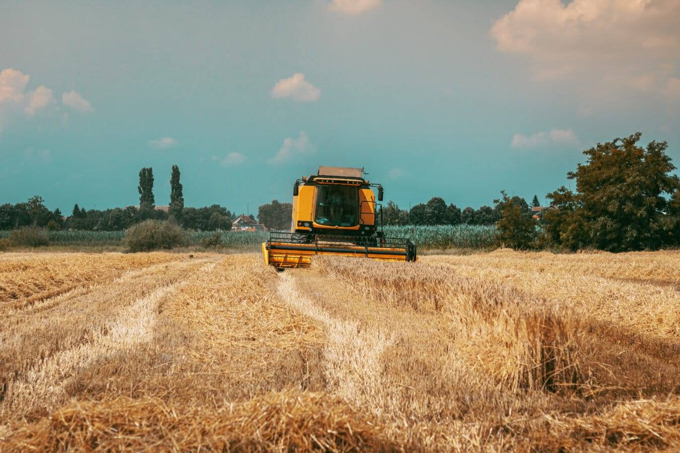 PTI dans le secteur alimentaire : qu’en est-il ?